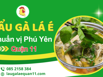  Thưởng thức lẩu gà lá é Phú Yên chuẩn vị – Nóng hổi ngay tại quận 11